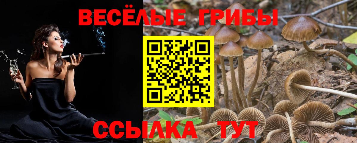 Псилоцибиновые грибы Magic Shrooms Дивногорск