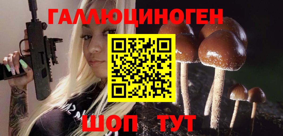 Псилоцибиновые грибы Magic Shrooms  Галлюциногенные грибы Magic Shrooms  Вход с VPN  Дивногорск 